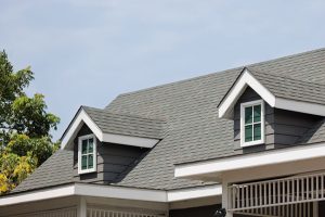 4 Facts About Roof Washing: Insights from a Pro