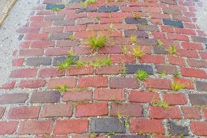 Reasons to Use Our Driveway Cleaning Services