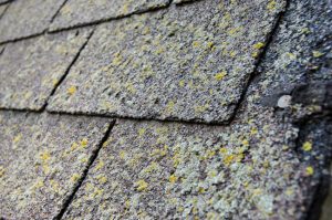 Why We Recommend Roof Cleaning
