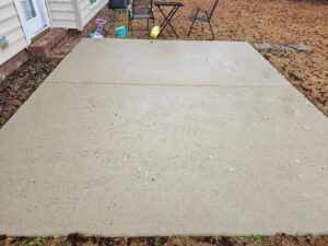 Back Pad Clean